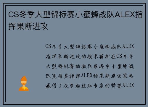 CS冬季大型锦标赛小蜜蜂战队ALEX指挥果断进攻