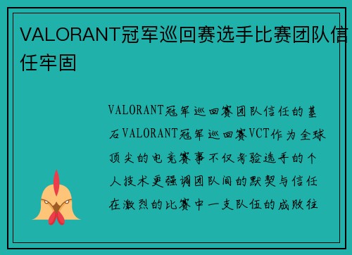 VALORANT冠军巡回赛选手比赛团队信任牢固