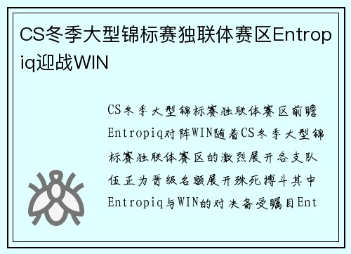 CS冬季大型锦标赛独联体赛区Entropiq迎战WIN