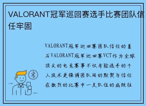 VALORANT冠军巡回赛选手比赛团队信任牢固